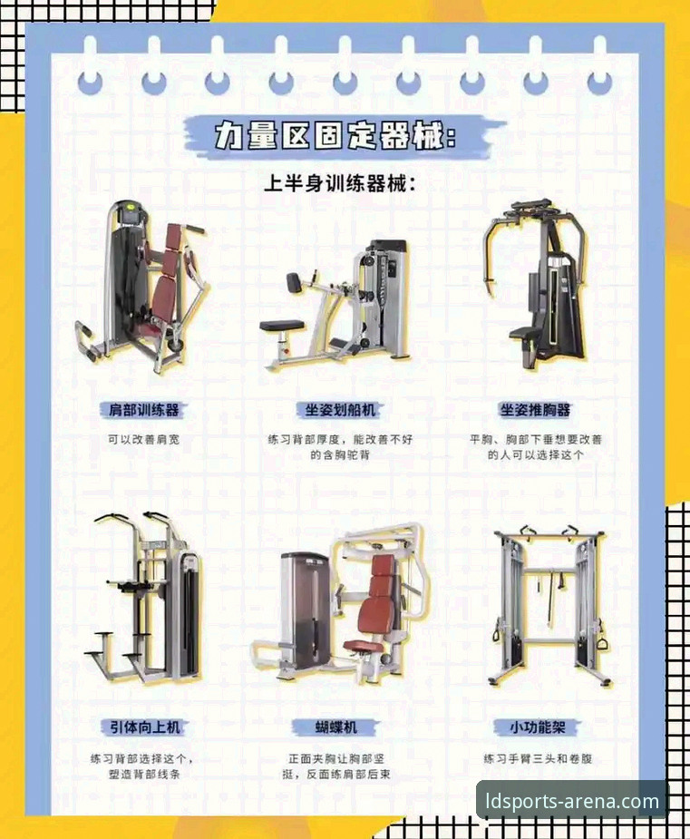 ldsports体育软件 LDSports体育平台功能详解与使用指南